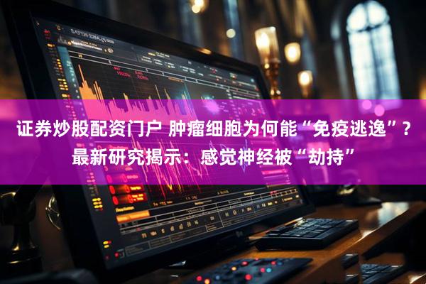 证券炒股配资门户 肿瘤细胞为何能“免疫逃逸”？最新研究揭示：感觉神经被“劫持”